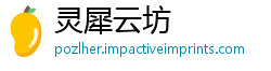 灵犀云坊